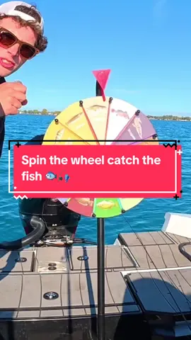 Spin the Wheel CATCH the Fish 🐟🎣 #fishing #fishingvideos 