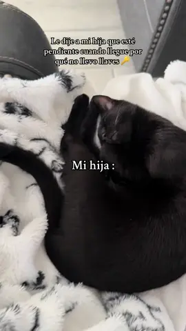 #humortiktok #hector #gatodormilon 