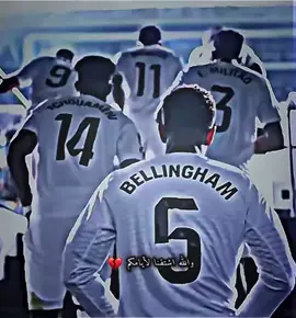 #ريال_مدريد_عشق_لا_ينتهي #تابعني_متخسر_شي_🔴❤️‍ #fyp #متابعه_ولايك_واكسبلور_احبكم #لايك 