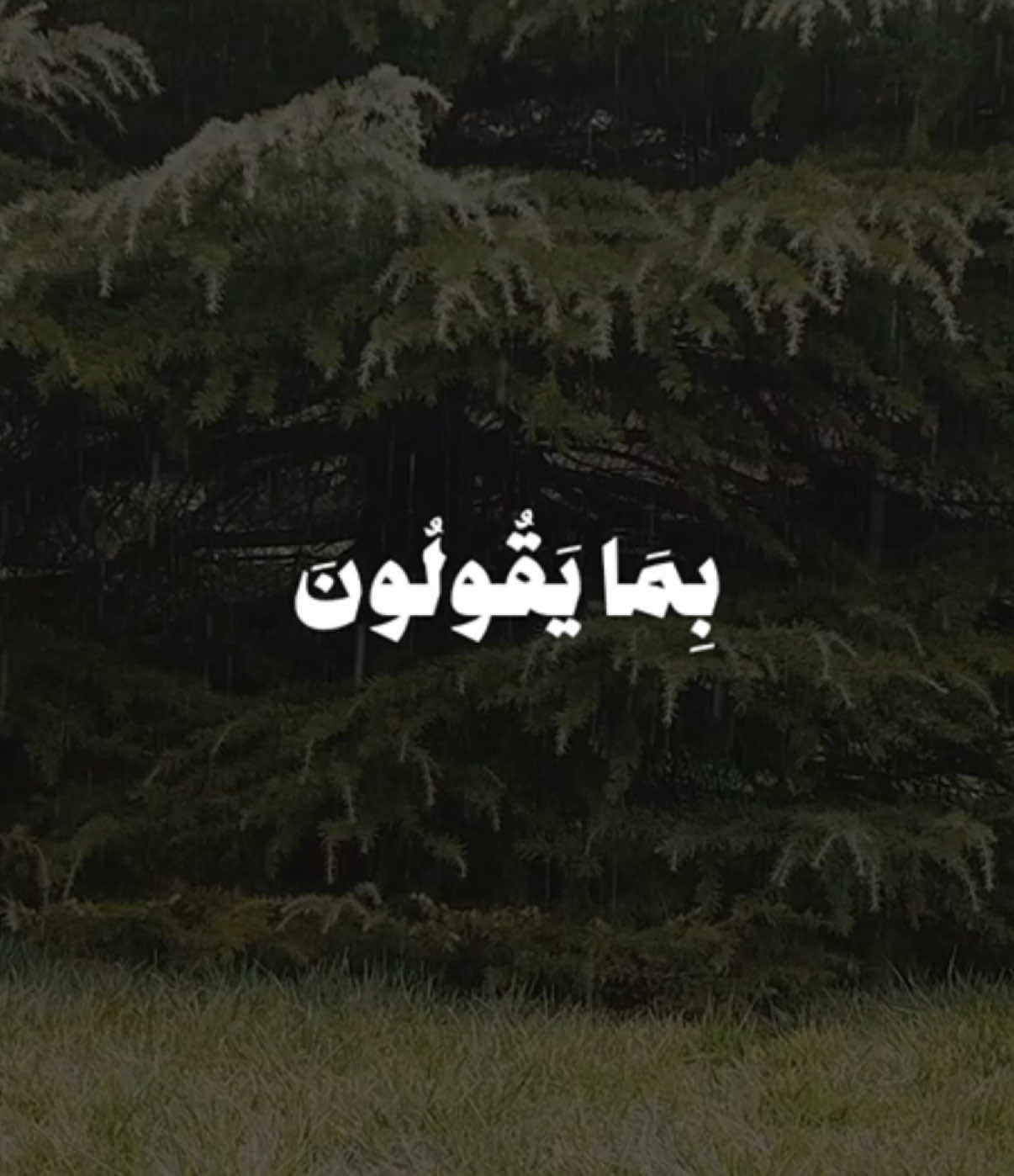 ولقد نعلم انك يضيق صدرك بما يقولون - علي جابر || حساب وقناة القران بالبايو #قران #quran 
