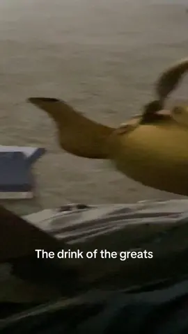 The drink of the greats#fyp 