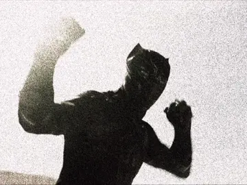#marvel #fyp #blackpanther #acegxlo #wakandaforever 
