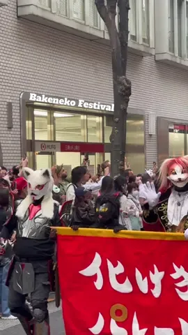 This year I had the opportunity to visit Japan a second time, and to be there for my first Bakeneko Festival !! 🐈🎌 #japan #bakenekofestival #祭り #日本 #猫 