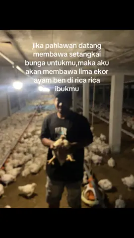 buat km mah sepesial #fyp ##fyppppppppppppppppppppppp #peternakmuda #ayamboiler 