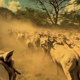 #sueñosporcumplir  🫀🙌🏻