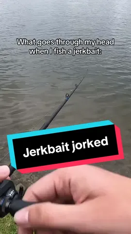 Jorkbait fishing #fishtok #fishing #fishingtiktoks #bassfishing #fishinglife 