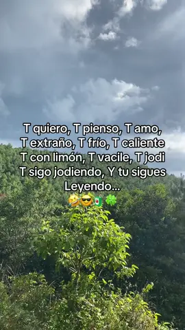 #frases🧃🍀😎 #viral #paratiiiiiiiiiiiiiiiiiiiiiiii🎶♥️🎶 