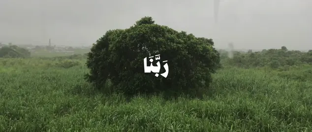 ﴿ رَبَّنَا لَا تُؤَاخِذْنَا إِن نَّسِينَا أَوْ أَخْطَأْنَا ۚ رَبَّنَا وَلَا تَحْمِلْ عَلَيْنَا إِصْرًا كَمَا حَمَلْتَهُ عَلَى الَّذِينَ مِن قَبْلِنَا ۚ ﴾ [ البقرة: 286]  . . #قرآن #quran #قران_كريم #علي_جابر #علي_جابر_رحمه_الله 