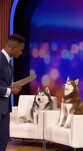 HUSKIES ARE SO DRAMATIC #youarenotthefather #dogs #huskylife #funny 