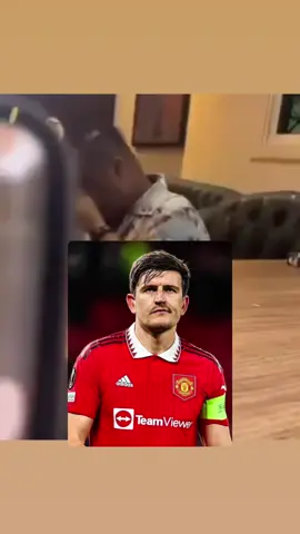 #harrymaguire #manutd #viral 