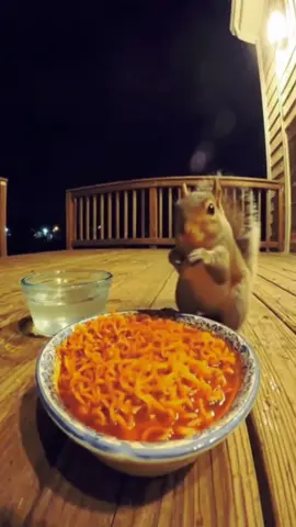 Chipmunk can’t handle the spicy noodles 