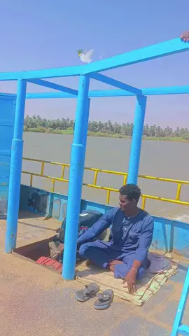 #حلفا_سكوت_محس_دنقلا💙💙 #دنقلا_الاصالة_والتاريخ🌴🌴 #مشاهير_تيك_توك_مشاهير_المحس❤️💛🥀 #اعادة_نشر🔁 #لايك_متابعه_اكسبلور 