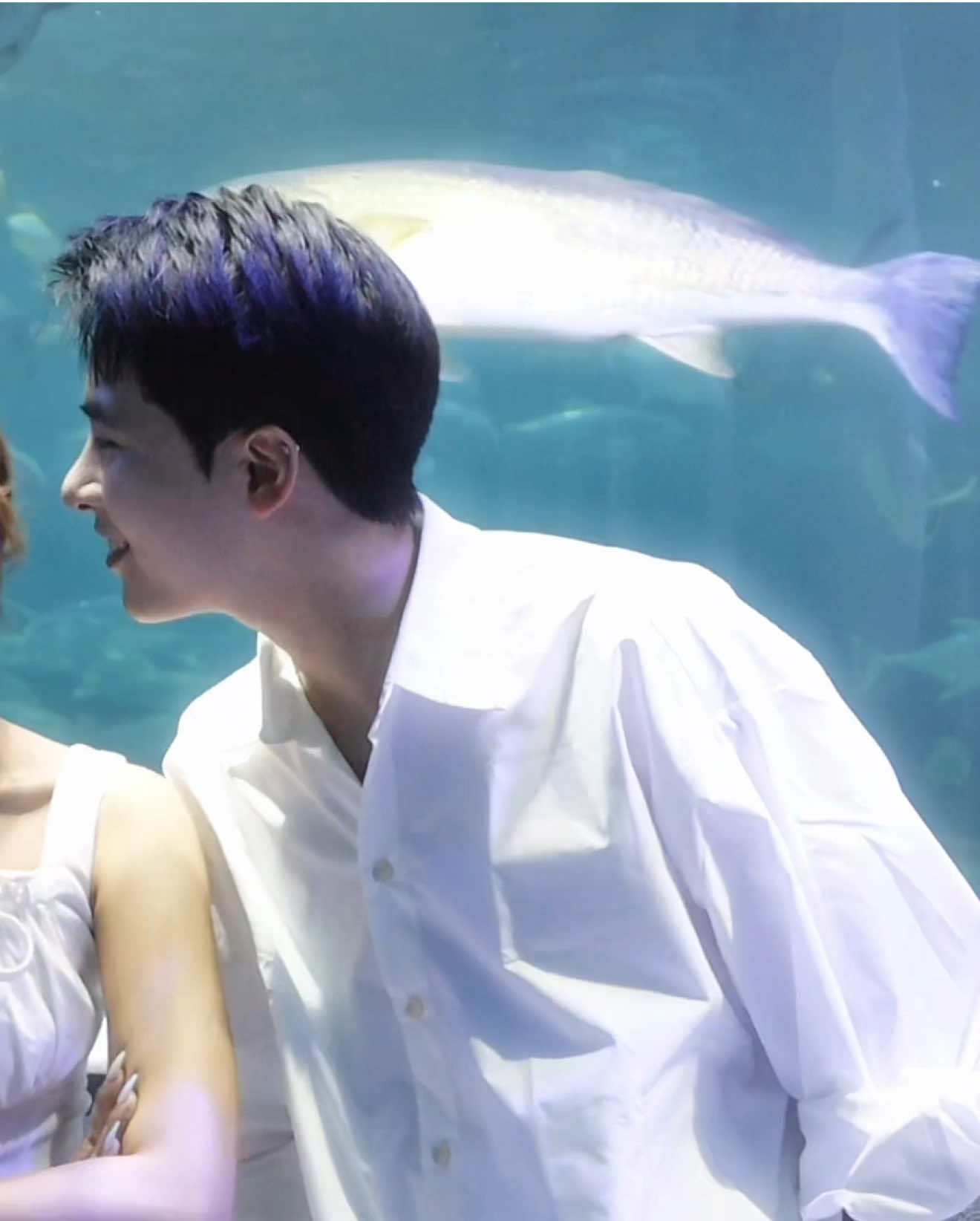 Viễn và Ngân ở một phiên bản khác 💋 Vậy là không còn cách nhau 1 mi li mét nữa rồi nhé #fyb #bacvu #changmay #aquarium #cachem1milimet 