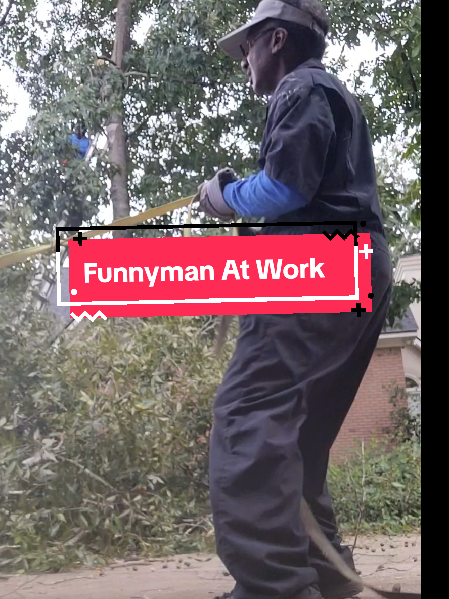 Funny guy cutting trees