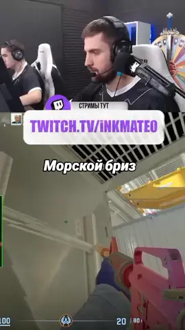 Twitch inkmate0 #zibert1715 #cs2 #inkmate0 #leha2077 #смешноевидео 
