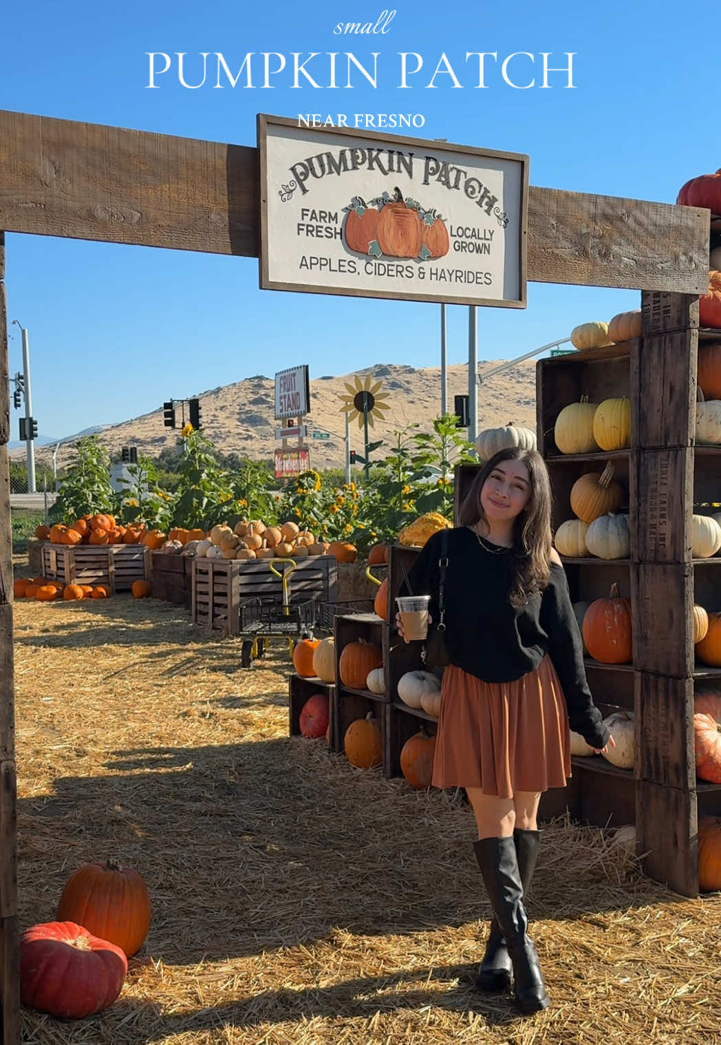 such a small pumpkin patch but so cute 🧡🎃  #pumpkinpatch #fresno #fresnopumpkinpatch #centralvalley #559 
