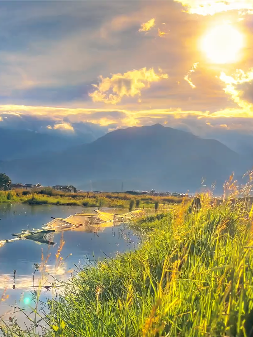 “Cảnh chẳng đổi thay, chỉ ta đã lớn mất rồi.”🌤 #nostalgicvibes #calmmood #slowdaysatwork #naturemoment