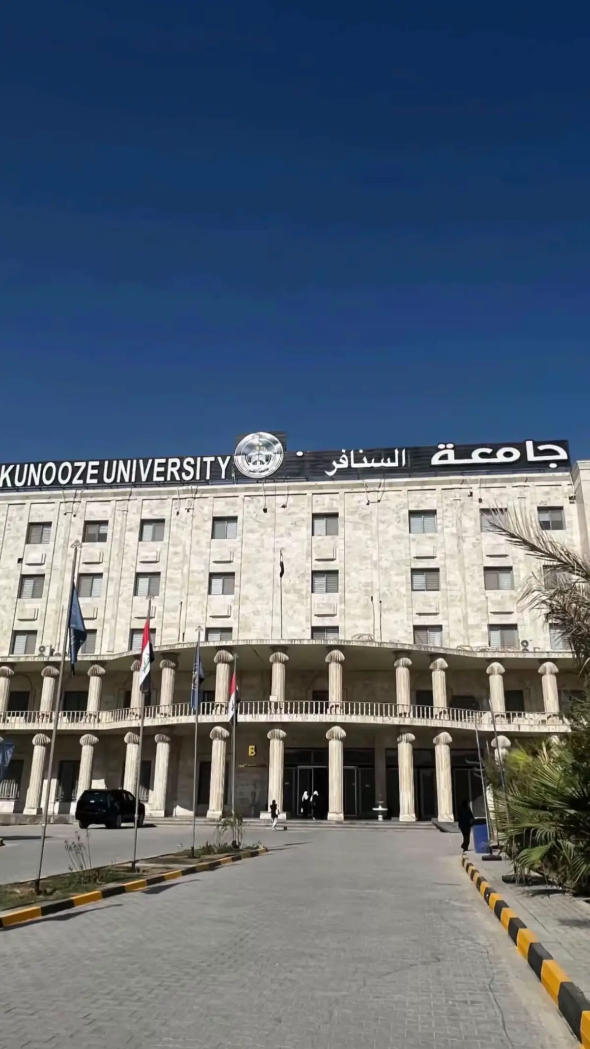 عشوائيات الجامعه🤏🏻🤍🤍🤍🤍#كليه_الكنوز_الجامعه 