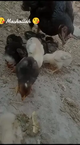 #foryoupageofficiall❤️❤️tiktok 