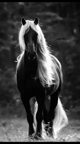 بعض الناس صحبتهم بلاء ولقاؤهم داء  #اقتباسات  #اقتباسات_عبارات_خواطر  #حكم #كلام_من_ذهب 