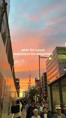 literally got off the train to catch this sunset #tokyo #traveltiktok #japantravel #travelhumor #sunset 