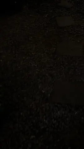 Cafe đêm ngắm Cẩm Tú Cầu vs Ad ko 💖  Tiệm Tháng Năm - ngõ 12 Phan Sỹ Thục  Mở cửa tới 2h sáng  #tiemchekam 