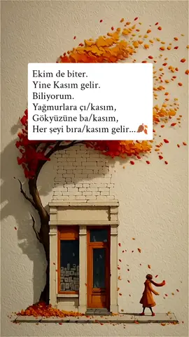 #kasım #reels #benionecikart #kesfetteyiz #sonbahar 