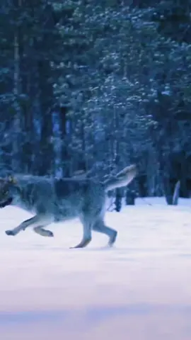 #reflexiones #motivation #frases 