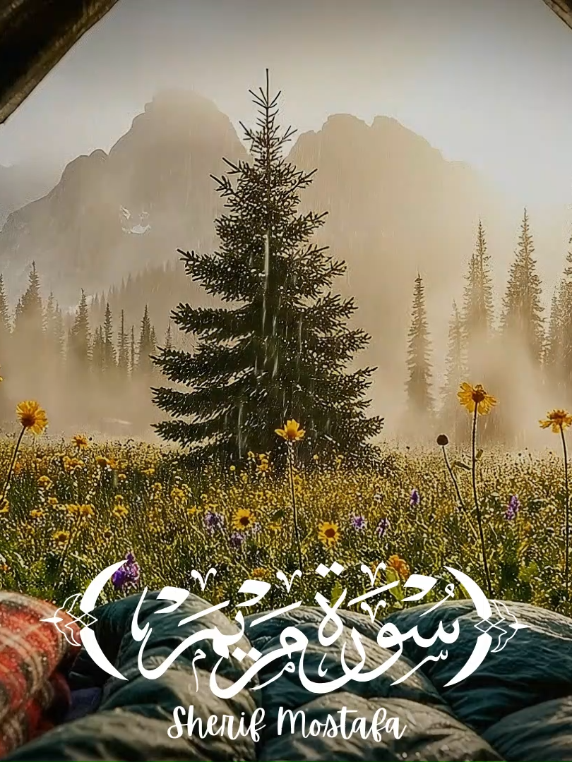 Surah Maryam سورة مريم (complete) ❤️😍 -- Calm, comfort and serenity 😴 #fypシ゚viral🖤tiktok#surahmaryam #سورة_مريم #quran #quranrecitation #beautifulquranrecitation #tilwat #tilwat_e_quran_pak #beautifulvoice #hearttouchingvideo #tilawat #quranbeautifulvoice #waqaskafridi #قرآن #قرآن_كريم_راحة_نفسية #قرآن_كريم_راحة_نفسية🌷🌻