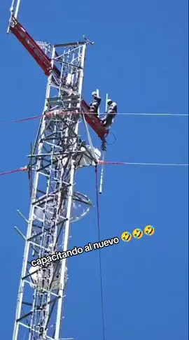 #webeochileno #webeo 