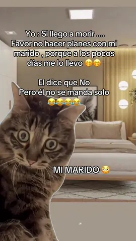 El no se manda solo 🤭🤭🤭🤭  #MemeCut #humortiktok #paratiiiiiiiiiiiiiiiiiiiiiiiiiiiiii #parejasdetiktok #espososdetiktok 