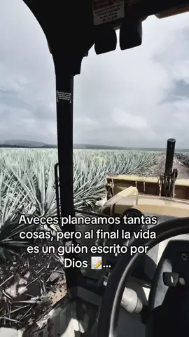 #situsupieras #nuncaterindas #superacion #viral #paisaje 