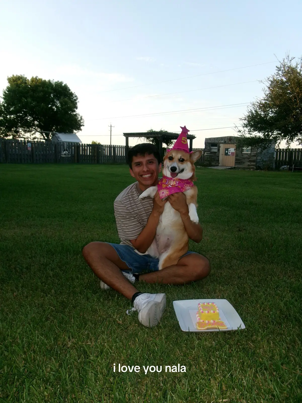 i love u my sweet girl 🧡 #corgi #corgisoftiktok 