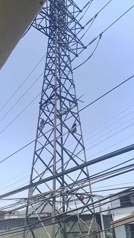 ayudemnos a bajar este gatito de esta torre, lleva dos días 🙏🏻😿 #ayuda #paratiiiiiiiiiiiiiiiiiiiiiiiiiiiiiii #gatitos 