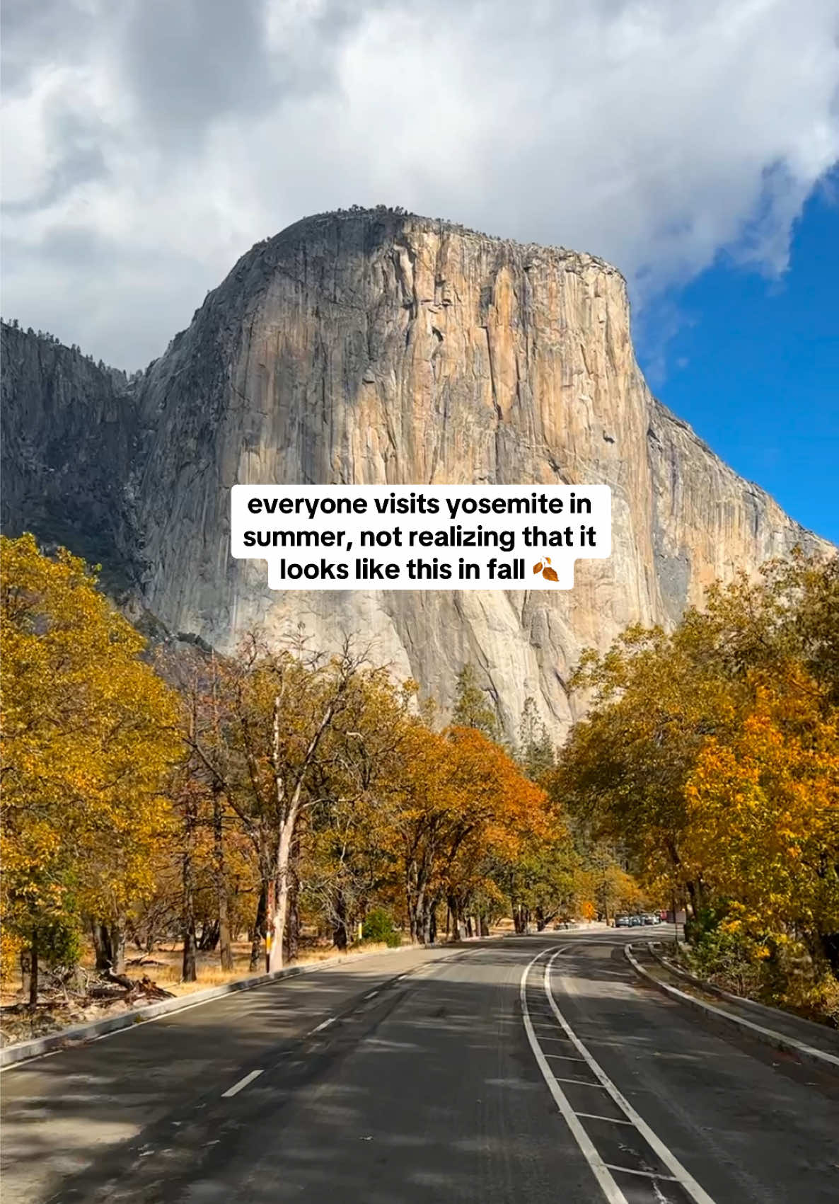 Pure magic! 🍂 Autumn in Yosemite National Park is something I hope everyone gets to experience in their lifetime 😌 All these clips are from the Yosemite Valley and were taken at the beginning of November 🍁 #yosemite #yosemitenationalpark #yosemitevalley #fall 