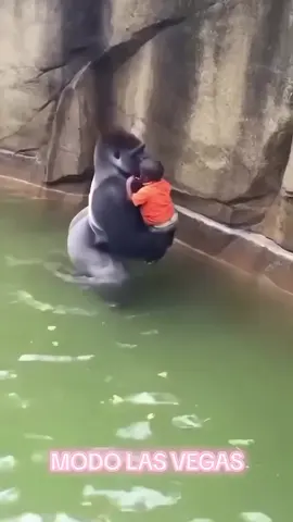 #seguenois #modolasvegas #LASVEGAS #ladygaga #viral 