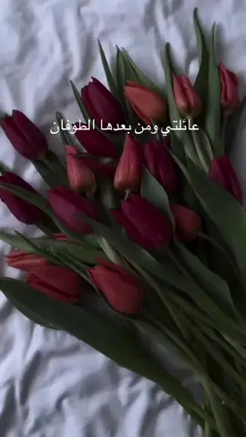 #عشوايات #مساء_الروقان 