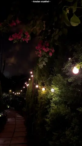 Your smile destroys the peace of my heart — Curse be on love itself, and on the name of “beloved.” 🙌           #foryou #pashto #pashtopoetry #repost #i9ote1 #unfreezemyacount 