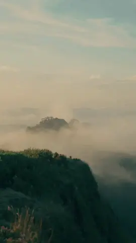 #Howtoforgetsong #CapCut #ฟีดดดシ #fyp #หว่าวาโจหงอนไก่ดอยปุย 