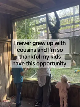 Happy family day with the cousins #family #zoo #cousins 