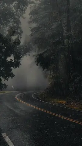 #CapCut #foryoupage #nature #explorepage✨ #poetry #naturevibes #explore #rainyday 