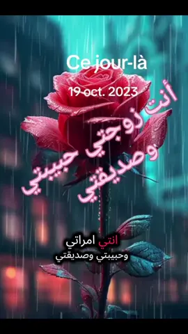 # انتي مراتي وحبيبتي  # أحبك ❤️❤️❤️❤️ #رسالة حب  🥰⚘️🥰⚘️🥰⚘️🥰⚘️🥰⚘️