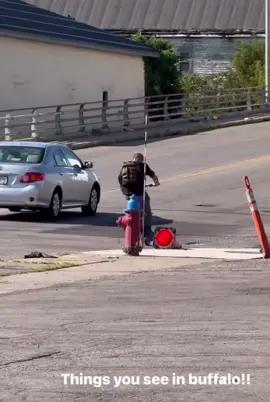 #buffalo #happysunday #fyp 