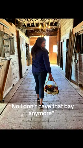 Missing my best friend 😔 #gelding #aqha #horse #trailriding #therewasatime 