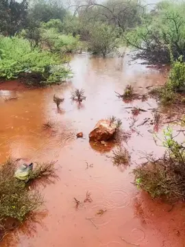 Farhaan Diraac Oo Shaahii Biyo Kala Tageen@Bootaan Dacal @Farhaan Diraac @Caanka ree 🚀laanmadow 🚨🇸🇱 @ïNÃ GîrîDHö❤️3️⃣0️⃣ @Abdishugri 