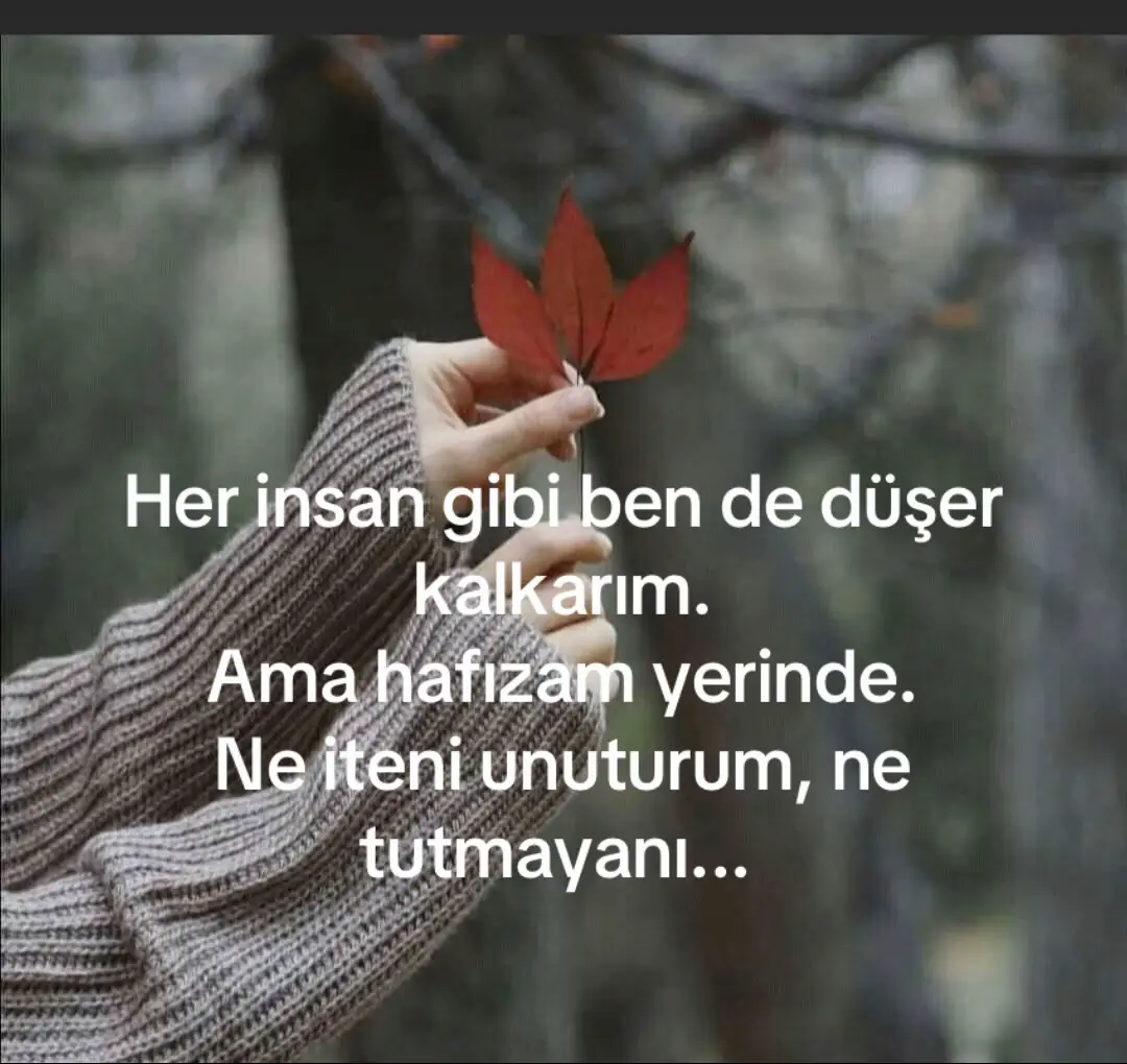 #içsesim #yanlızlık💔 #dünyam #duygusalsözler #şiirheryerde 