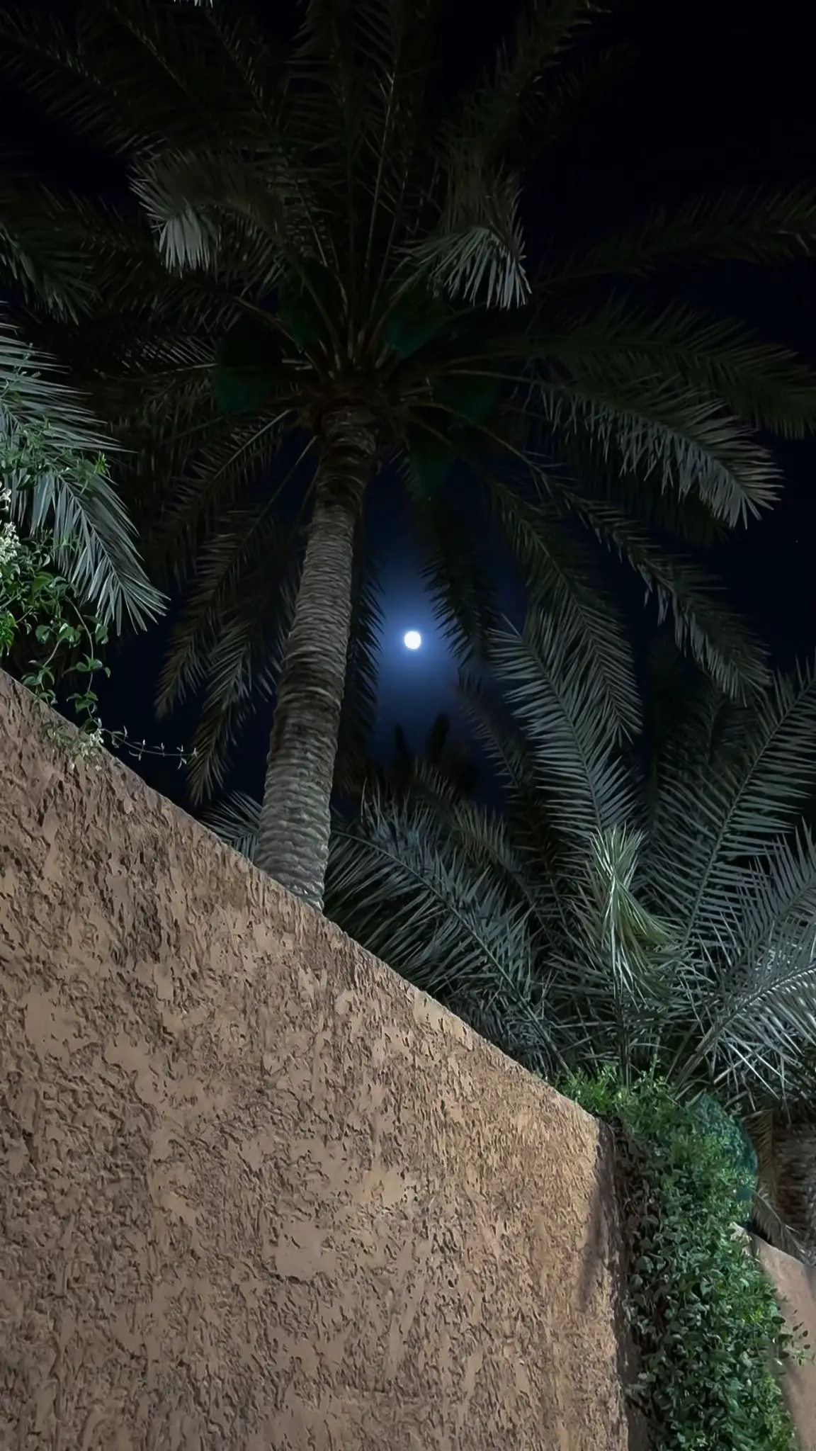 #foryourpage #بودكاست #محمدالمقحم #fyppppppppppppppppppppppp #اقتباسات 