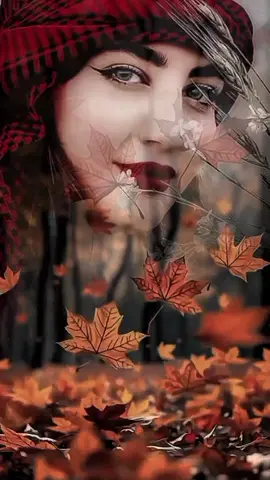 :والروح أصبحت لٱ تميل لشيءبقدر للأبتعاد عن كل شي#😔😔💔💔😔🖤🖤🖤 