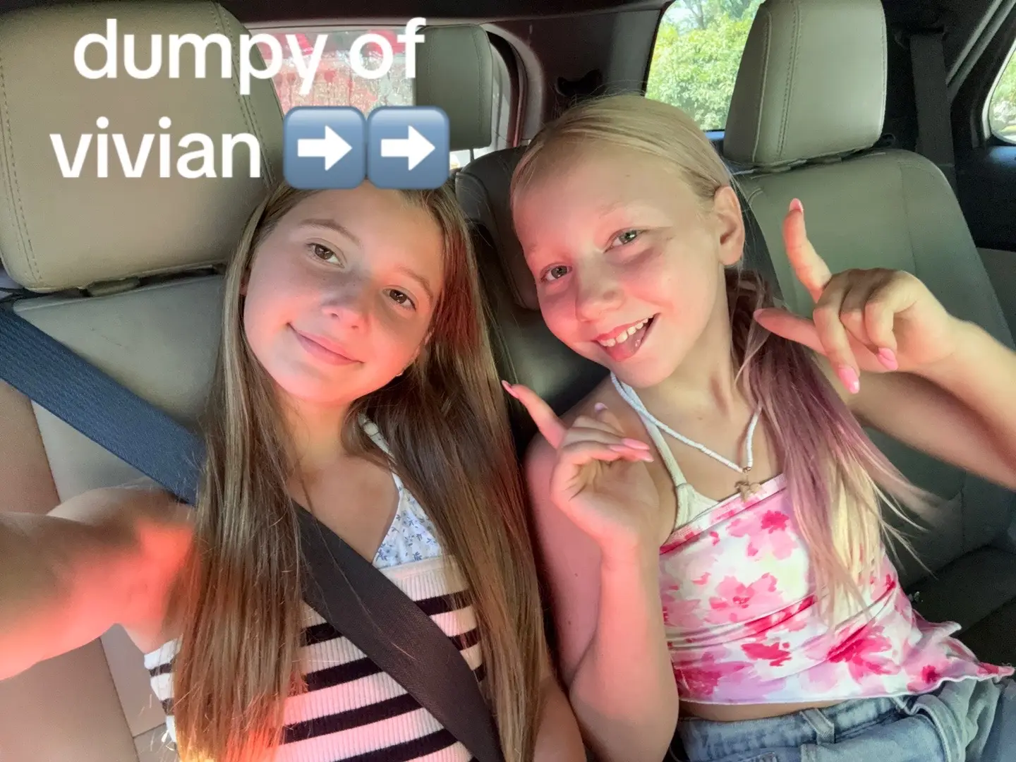 @VivianLovesHorses❤️🐴 