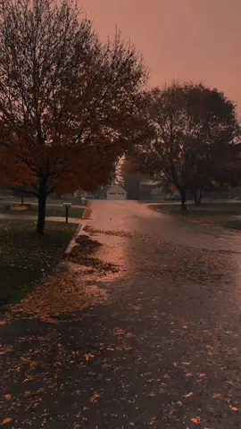 golden light with rain in autumn 🌧️  #fyp #ambient #nostalgia #rain #liminal 
